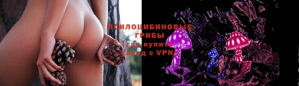 стафф Абдулино
