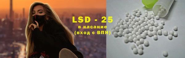 стаф Алексин
