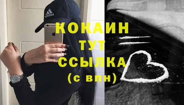 стаф Абаза